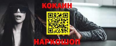 стафф Гатчина