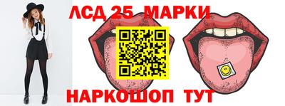 стафф Гатчина