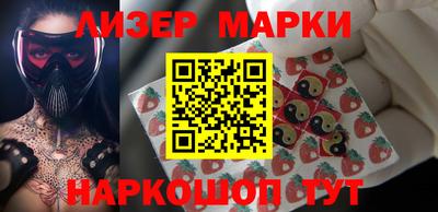 стафф Гатчина
