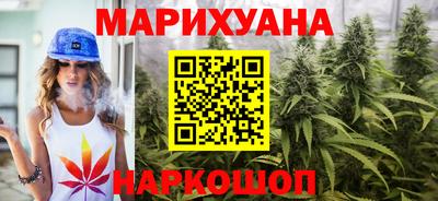 стафф Гатчина