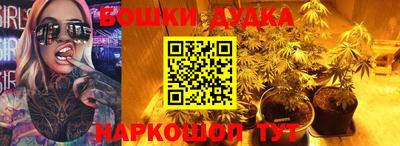 стафф Гатчина