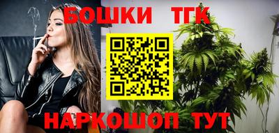 стафф Гатчина