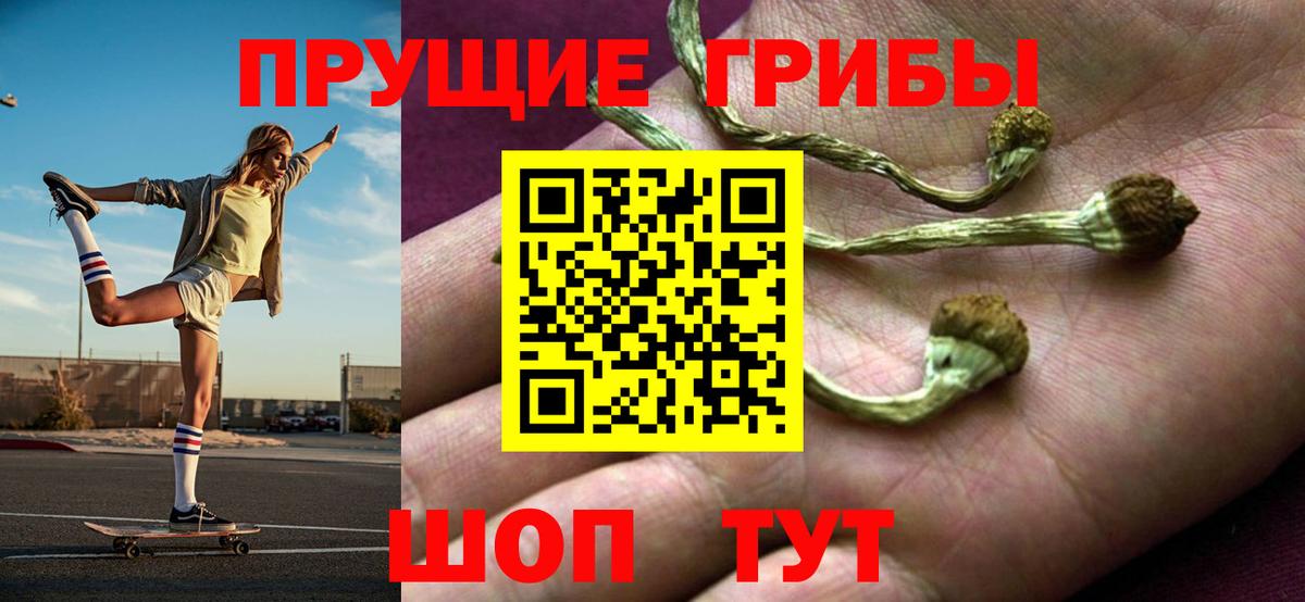 Псилоцибиновые грибы ЛСД  Вход с VPN  закладки  Нефтекумск 